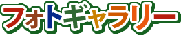 フォトギャラリー